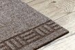 Rugsx durų kilimėlis Primavera, 66x470 cm kaina ir informacija | Durų kilimėliai | pigu.lt