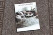 Rugsx durų kilimėlis Primavera, 66x530 cm kaina ir informacija | Durų kilimėliai | pigu.lt