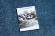 Rugsx kilimas Santa Fe, 500x500 cm kaina ir informacija | Kilimai | pigu.lt