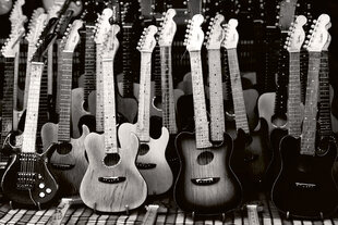 Фотообои - Коллекция гитар 375x250 см цена и информация | Фотообои с инструментом и клеем - Бежевые листья эвкалипта, 400x280 см | pigu.lt