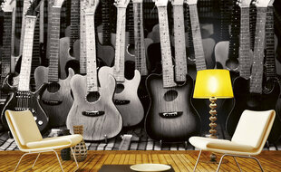 Fototapetai - Gitaros kolekcija kaina ir informacija | Fototapetai | pigu.lt