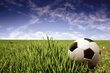 Fototapetai - Futbolo kamuolys цена и информация | Fototapetai | pigu.lt
