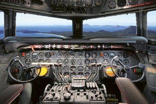 Фотообои - Вид из кабины пилота 375x250 см цена и информация | Фотообои | pigu.lt