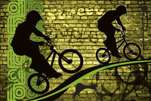 Фотообои - Велосипед BMX красного цвета 375х250 см цена и информация | Фотообои с инструментом и клеем - Бежевые листья эвкалипта, 400x280 см | pigu.lt