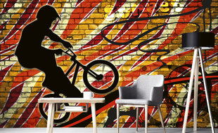 Fototapetai - BMX dviratis žalias kaina ir informacija | Fototapetai | pigu.lt