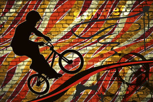 Фотообои - Велосипед BMX зеленого цвета 375х250 см цена и информация | Фотообои с инструментом и клеем - Бежевые листья эвкалипта, 400x280 см | pigu.lt