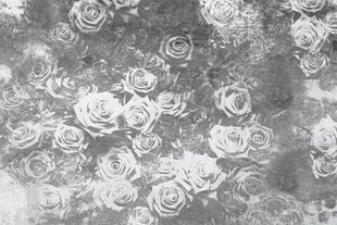 Fototapetai - Pilkos rožės kaina ir informacija | Fototapetai | pigu.lt