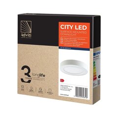 Светодиодный светильник накладной CITY 12W 3000K круглый цена и информация | Потолочные светильники | pigu.lt