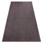 Rugsx kilimas San Miguel 500x550 cm kaina ir informacija | Kilimai | pigu.lt