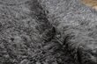 Rugsx klasikinis kilimas Pled, 110x170 cm цена и информация | Kilimai | pigu.lt