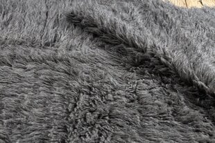 Rugsx klasikinis kilimas Pled, 240x340 cm kaina ir informacija | Kilimai | pigu.lt