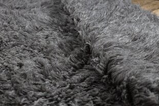 Rugsx klasikinis kilimas Pled, 300x400 cm kaina ir informacija | Kilimai | pigu.lt