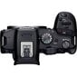 Canon EOS R7 + RF-S 18-45mm F4.5-6.3 IS STM(F/4.5-6.3 IS STM) + Mount Adapter EF-EOS R kaina ir informacija | Skaitmeniniai fotoaparatai | pigu.lt