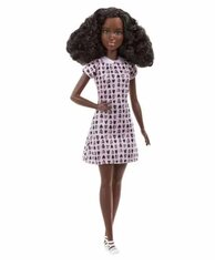 Кукла Барби, карьера, кукла, фотограф цена и информация | Игрушки для девочек | pigu.lt