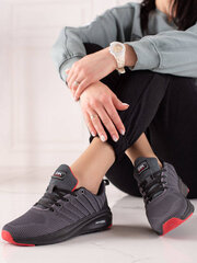 Серые кроссовки DK цена и информация | Спортивная обувь, кроссовки для женщин | pigu.lt