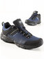 Sportiniai batai vyrams Dk, mėlyni kaina ir informacija | Kedai vyrams | pigu.lt