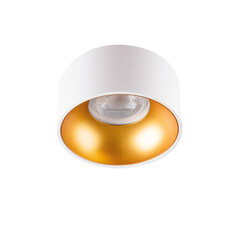 Круглый светильник MINI RITI GU10 W/G цена и информация | Монтируемые светильники, светодиодные панели | pigu.lt
