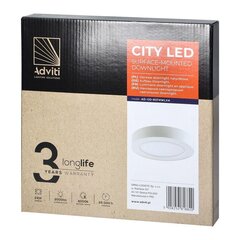 Светодиодный светильник накладной CITY 24W 4000K круглый цена и информация | Потолочные светильники | pigu.lt