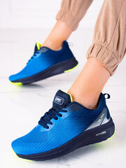 Легкая мужская спортивная обувь DK blue цена и информация | Спортивная обувь, кроссовки для женщин | pigu.lt