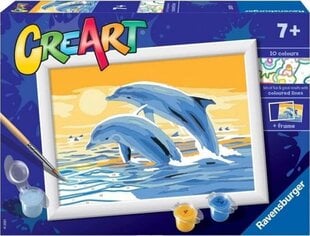 Tapyba pagal skaičius Ravensburger Delightful Dolphins, 22x16 cm цена и информация | Живопись по номерам | pigu.lt