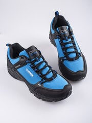 Мужские треккинговые ботинки DK синие цена и информация | Кроссовки для мужчин | pigu.lt