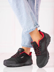 Спортивная обувь для женщин цена и информация | Спортивная обувь, кроссовки для женщин | pigu.lt