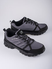 Мужские треккинговые ботинки DK цвета морской волны Softshell серого цвета цена и информация | Кроссовки для мужчин | pigu.lt
