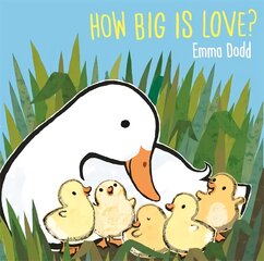 How Big Is Love? цена и информация | Книги для самых маленьких | pigu.lt