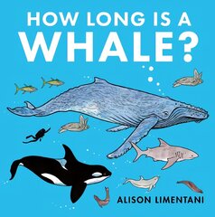 How Long is a Whale? цена и информация | Книги для малышей | pigu.lt