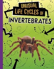 Unusual Life Cycles of Invertebrates цена и информация | Книги для подростков  | pigu.lt