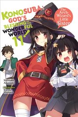 Konosuba: God's Blessing on This Wonderful World!, Vol. 11 (light novel) kaina ir informacija | Knygos paaugliams ir jaunimui | pigu.lt