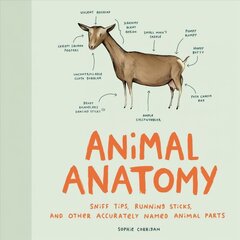Animal Anatomy: (Funny Animal Books, Funny Anatomy Books, Humor Books for Adults) цена и информация | Энциклопедии, справочники | pigu.lt