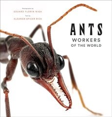 Ants: Workers of the World kaina ir informacija | Enciklopedijos ir žinynai | pigu.lt