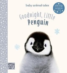 Goodnight, Little Penguin: Simple stories sure to soothe your little one to sleep kaina ir informacija | Knygos paaugliams ir jaunimui | pigu.lt