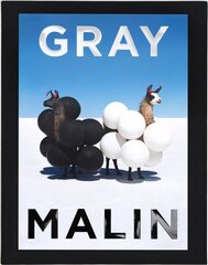 Gray Malin: The Essential Collection цена и информация | Книги по фотографии | pigu.lt
