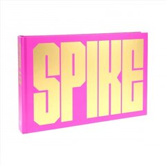 Spike kaina ir informacija | Biografijos, autobiografijos, memuarai | pigu.lt