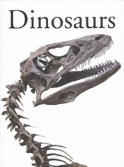 Dinosaurs kaina ir informacija | Knygos paaugliams ir jaunimui | pigu.lt
