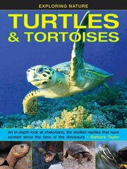 Exploring Nature: Turtles & Tortoises: An in-Depth Look at Chelonians, the Shelled Reptiles That Have Existed Since the Time of Dinosaurs kaina ir informacija | Knygos paaugliams ir jaunimui | pigu.lt