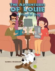 Adventures of Louie цена и информация | Книги для подростков  | pigu.lt