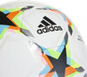 Futbolo kamuolys Adidas UCL Pro Sala HE3769, 4 dydis kaina ir informacija | Futbolo kamuoliai | pigu.lt