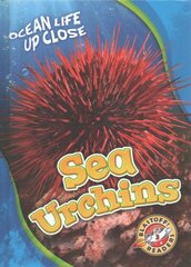 Sea Urchins цена и информация | Книги для подростков и молодежи | pigu.lt