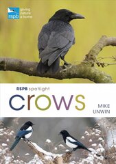 RSPB Spotlight Crows цена и информация | Книги о питании и здоровом образе жизни | pigu.lt