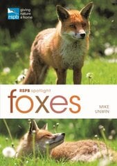 RSPB Spotlight: Foxes цена и информация | Книги о питании и здоровом образе жизни | pigu.lt