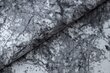 Rugsx kilimas Concrete, 400x600 cm kaina ir informacija | Kilimai | pigu.lt