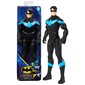 Batman serijos herojus - Nightwing 30cm kaina ir informacija | Žaislai berniukams | pigu.lt