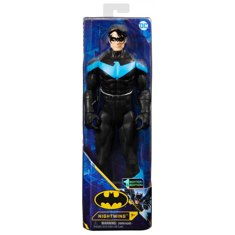 Batman serijos herojus - Nightwing 30cm kaina ir informacija | Žaislai berniukams | pigu.lt
