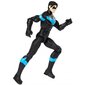 Batman serijos herojus - Nightwing 30cm kaina ir informacija | Žaislai berniukams | pigu.lt