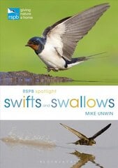 RSPB Spotlight Swifts and Swallows kaina ir informacija | Knygos apie sveiką gyvenseną ir mitybą | pigu.lt