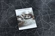 Rugsx kilimas Stone, 100x300 cm kaina ir informacija | Kilimai | pigu.lt