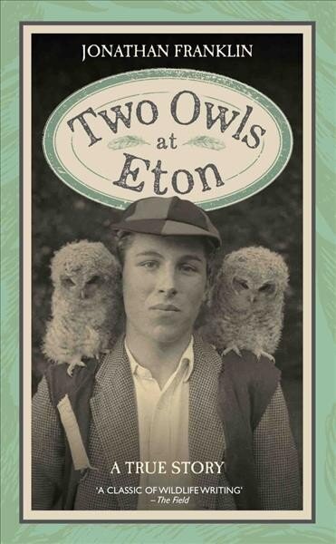 Two Owls at Eton цена и информация | Biografijos, autobiografijos, memuarai | pigu.lt